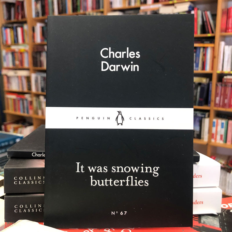 It was snowing butterflies, Charles Darwin