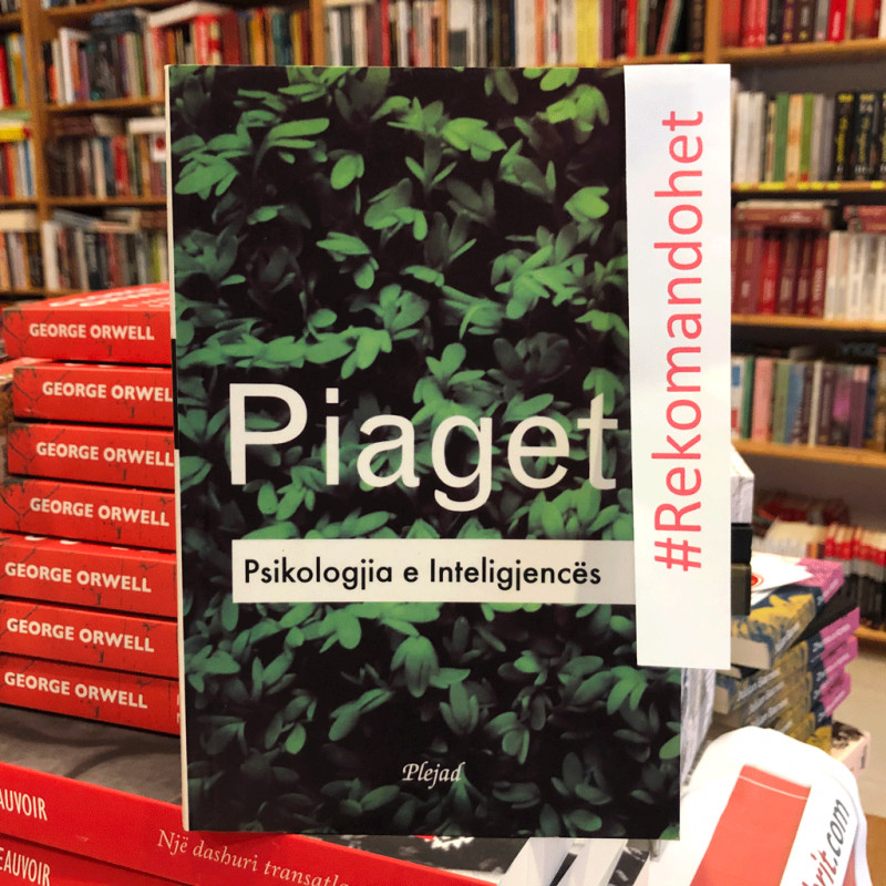 Psikologjia e inteligjencës, Jean Piaget