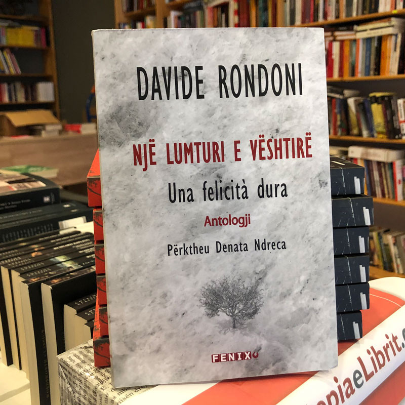 Një lumturi e vështirë, Davide Rondoni