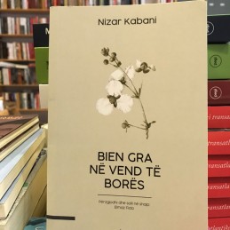 Bien gra në vend të borës, Nizar Kabani