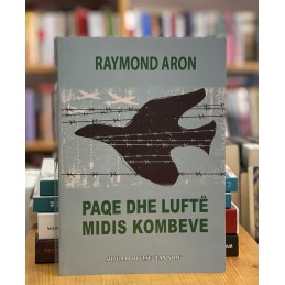 Paqe dhe luftë midis kombeve, Raymond Aron