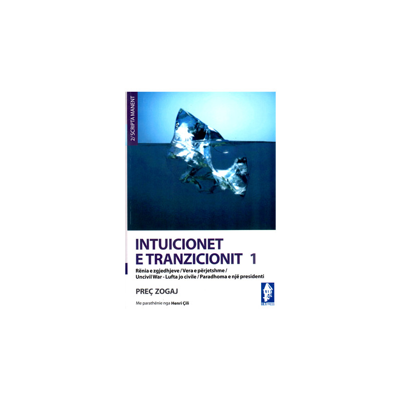 Intuicionet e tranzicionit 1, Prec Zogaj Intuicionet e tranzicionit 1, Prec Zogaj