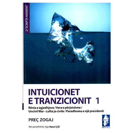 Intuicionet e tranzicionit 1, Prec Zogaj