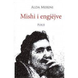 Mishi i engjejve, Alda Merini