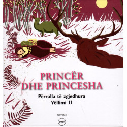 Princer dhe princesha, Vol. 2