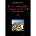 Pasuria arkeologjike e Shqipërisë në rrezik, Gjergj Frashëri
