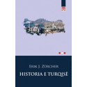 Historia e Turqisë, Erik Zurcher