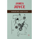 Shkrime kritike, James Joyce