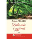 Labirinti i zgjimit, Adam Foulds
