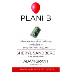 Plani B, Sheryl Sandberg, Adam Grant