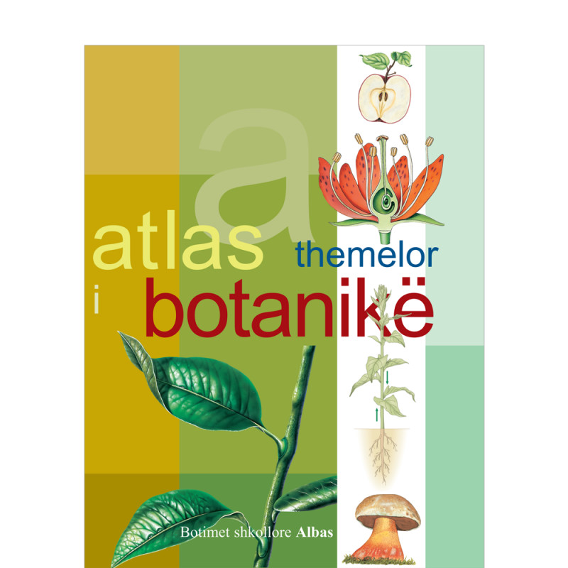 Atlas themelor i botanikës, Josep Cuerda