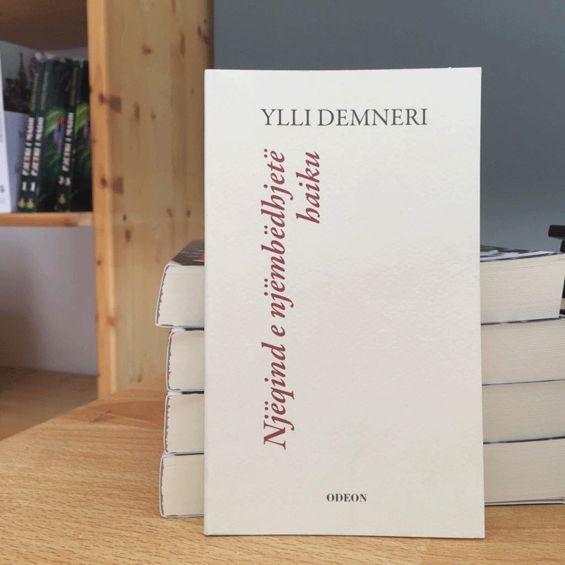 Njëqind e njëmbëdhjetë haiku, Ylli Demneri