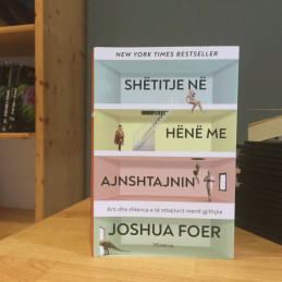 Shëtitje në hënë më Ajshtanin, Joshua Foer